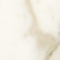Glossy Calacatta White Marble (0184P)