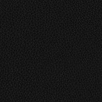 Wagner Leather - Black